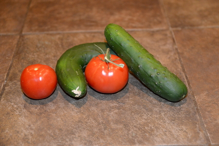 line of vegetables,の写真素材