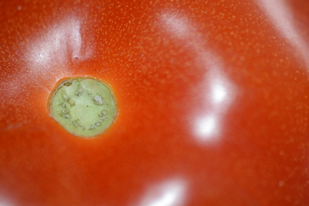 top of tomatoの写真素材