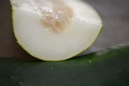cut end of cucumberの写真素材
