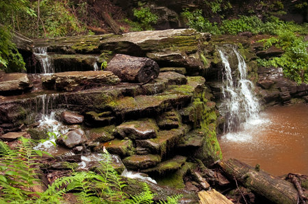 Waterfall that splits into two. Wonderful micro climate near the falls provides a perfect home for moss, lichens and ferns creating a very tropical looking setting in Pennsylvania.の写真素材
