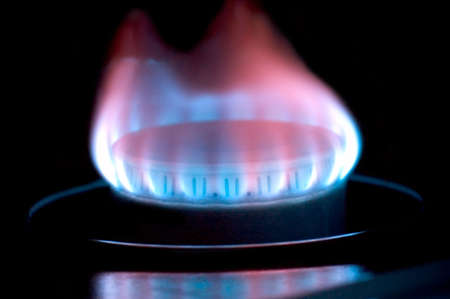 Close-up of a natural gas flame on a stove top.