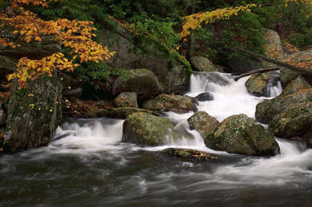 A small secluded cascade in the forests of  Virginia. Taken with a slow shutter speed to smooth and soften the water. Nice detail in the water showing the water flow as it swirls around and over the rocks. The stream is framed with the colorful yellow leaの写真素材