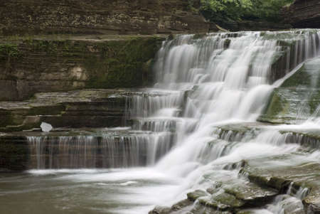 A beautiful 20 foot waterfall in Robert Treman state park, New York. Mosses, ferns and lichens on...
