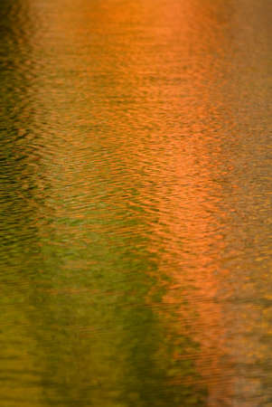 Reflections of autumn colors in the still waters of a lake in autumn.の写真素材