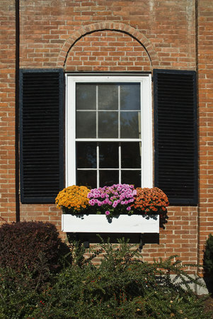 A window with a flower box full of blooming mums. The home was built in the early 1800's. の写真素材