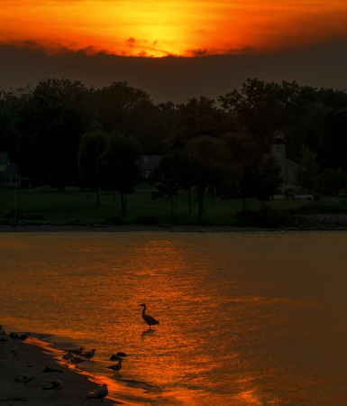 A beautiful warm  sunset  at the Sodus Bay beach park in New York A great Blue Heron is seen in the glow of the sunset along with several seagulls の写真素材