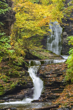 Deckertown falls  in New York surrounded by trees and plants with peak fall colors  A beautiful roadside waterfall in the village of Montour Falls New York の写真素材