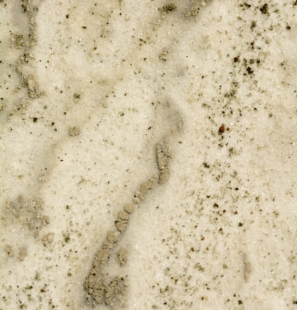 Close up high resolution photo of old limestone with lots of texture  in natural earth tone colors. Great for backgrounds and overlays to add a grungy texture to your photos.の写真素材