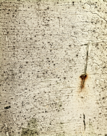 Close up high resolution photo of an old painted metal surface with some rust, mold and mildew on it. Great for backgrounds and overlays to add a grungy texture to your photos.の写真素材