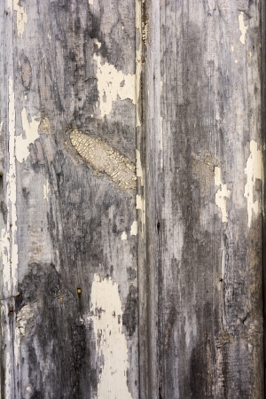 Close up high resolution photo of an old barn with peeling, faded paint.. Great for backgrounds and overlays to add a grungy texture to your photos.の写真素材