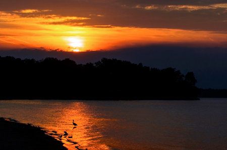 A beautiful warm sunset  at the Sudus Bay beach park in New York which sits along the shore of Lake Ontario.  A Great Blur Heron can be seen in the glow of the sunset fishing for it's dinner along with several seagulls.の写真素材