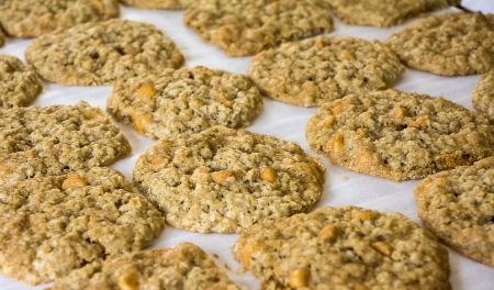 Photo of a batch of fresh baked Oatmeal Scotchies cookies  の写真素材
