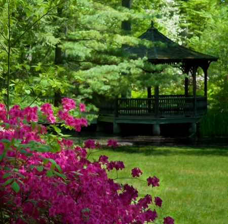 Beautiful manicured garden with a Gazebo surrounded with blooming azalea and rhododendron shrubs and large fernsの写真素材