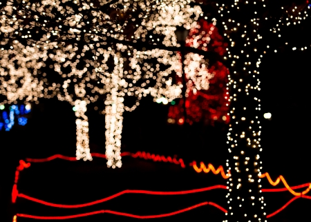 Photo of red and white Christmas lights.の写真素材