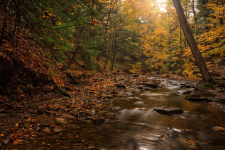Sulpher Springs Creek in Ohio during peak fall colors. This small creek looks itの写真素材