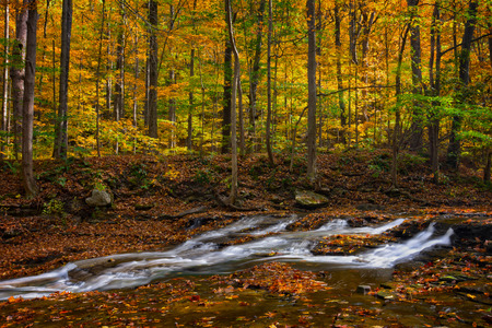 A small waterfall on Brandywine Creek in Cuyahoga Valley National Park Ohio.  Seen here in autumn...