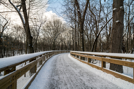 A snowy winter scene along a forest trail with a wooden bridge crossing a creek.