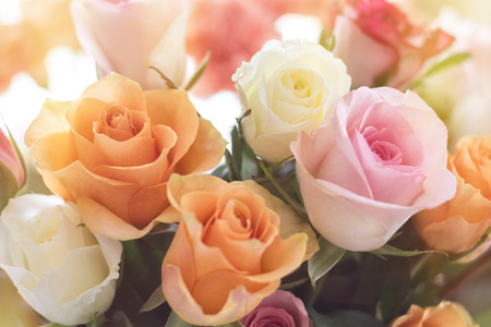 A beautiful bouquet of colorful roses kissed with warm sunlight.の写真素材