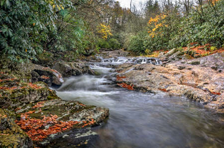 A small cascade along a creek in North Carolina in autumn on a rainy day.の写真素材