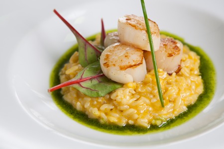 Risotto plate served with fried scallop and pesto sauceの写真素材