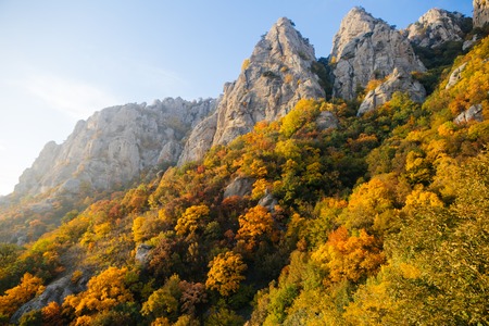 Autumn in the mountains of Crimea peninsulaの写真素材