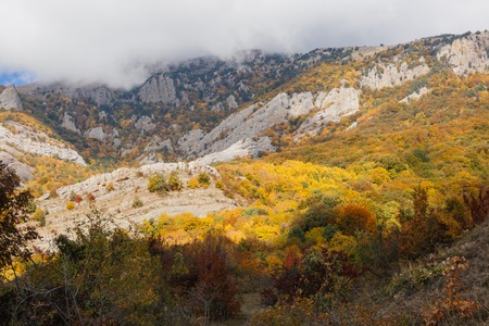 Autumn forest in mountains in Crimea peninsulaの写真素材