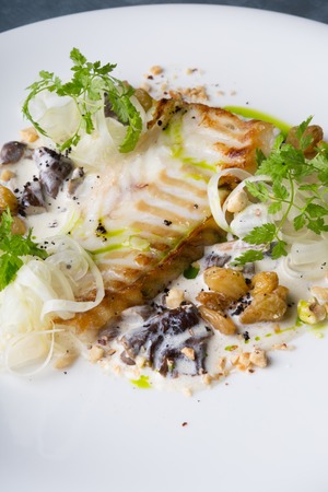 Prepared white fish fillet served on a white plate