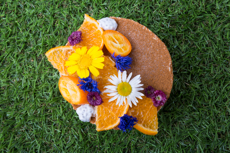 Raw frozen vegan gluten free organic pieの写真素材