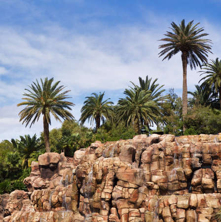 Tropical waterfall with stone wall and palmsの写真素材