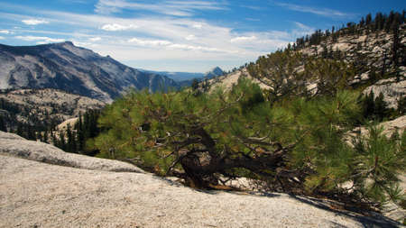 Panoramic view from Olmsted Point, Yosemite, USAの写真素材