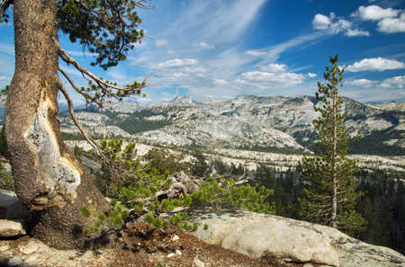 Yosemite, Sierra Nevada, California, USAの写真素材