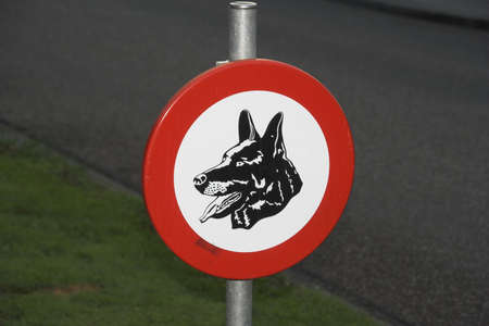 A no dogs allowed signの写真素材