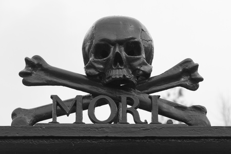 A skull at a graveyard (Memento Mori)のeditorial素材