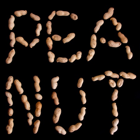 Roasted in-shell peanuts on a black backgroundの写真素材