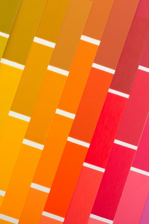 colour card (paper) with various colorsの写真素材