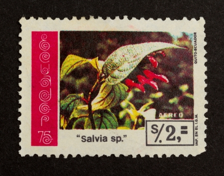 ECUADOR - CIRCA 1980: Stamp printed in Ecuador shows a flower, circa 1980のeditorial素材
