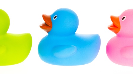 Rubber ducks isolated on a white backgroundの写真素材