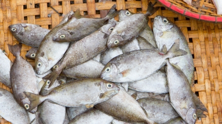 Fresh fish seafood in a Vietnamese market