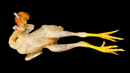 Chicken for consumption on a market in Dong Hoi (Vietnam)の写真素材