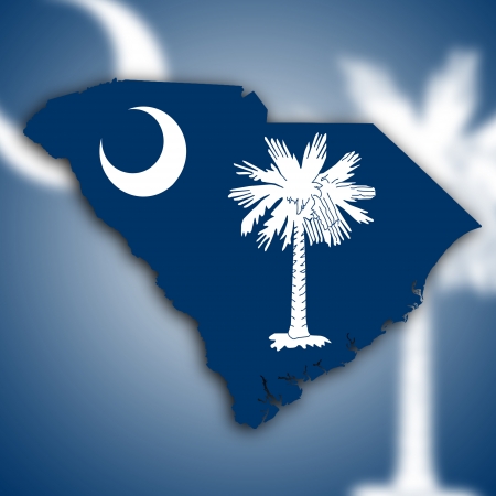 Map of South Carolina, filled with the state flagの写真素材