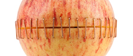 Sliced apple halves joined by brass staplesの写真素材