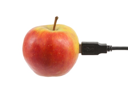 Science and nature symbiosis concept, apple and USB plugの写真素材