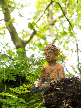 Small Buddha statue in a dutch forrestの写真素材