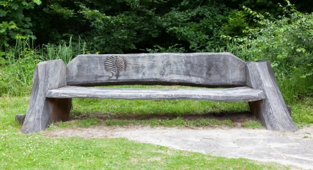 Sitting wooden bench in the woods, carving of a treeの写真素材