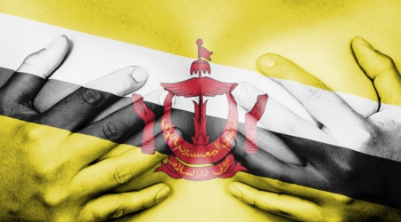 Upper part of female body, hands covering breasts, flag of Bruneiの写真素材