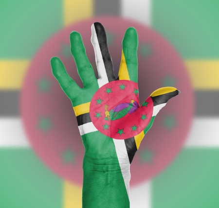 Palm of a woman hand, painted with flag of Dominicaの写真素材