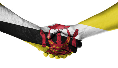 Man and woman shaking hands, wrapped in flag pattern, Bruneiの写真素材