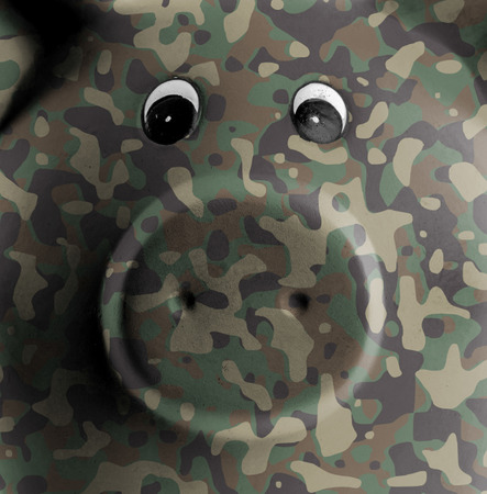 Ceramic piggy bank with painting, army camouflageの写真素材