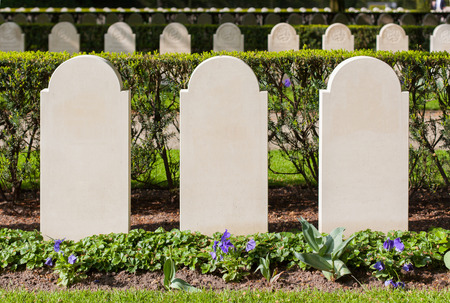 Rows of tombstones, old graves from World War IIのeditorial素材