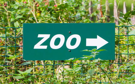 A green zoo' sign on a green fenceの写真素材